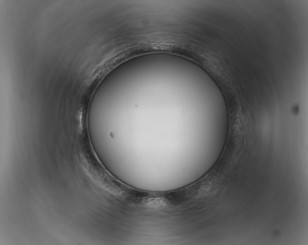X0000116160262200912141227