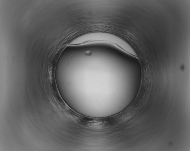 X0000116160267200912141227
