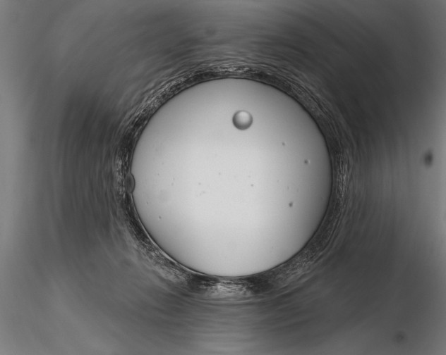 X0000116160270200912141227