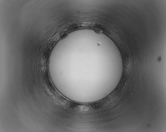 X0000116160272200912141227