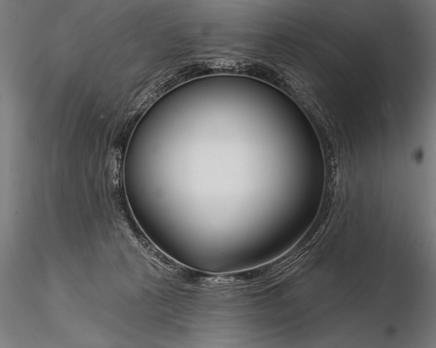 X0000116160273200912141227