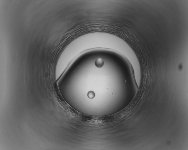 X0000116160276200912141227