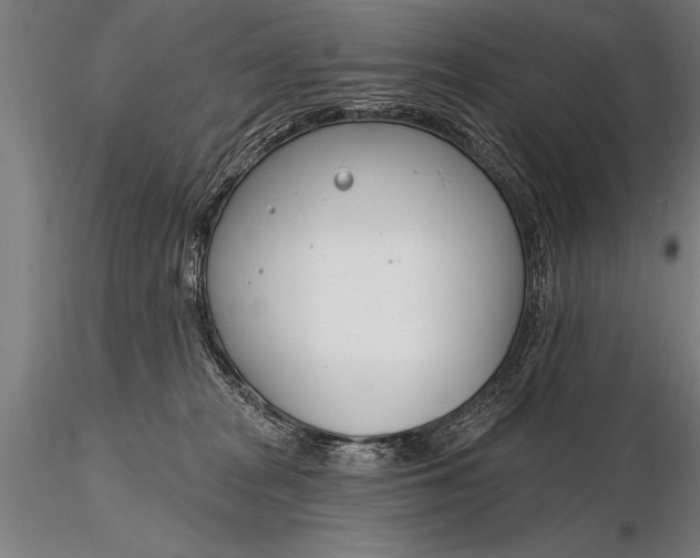 X0000116160277200912141227