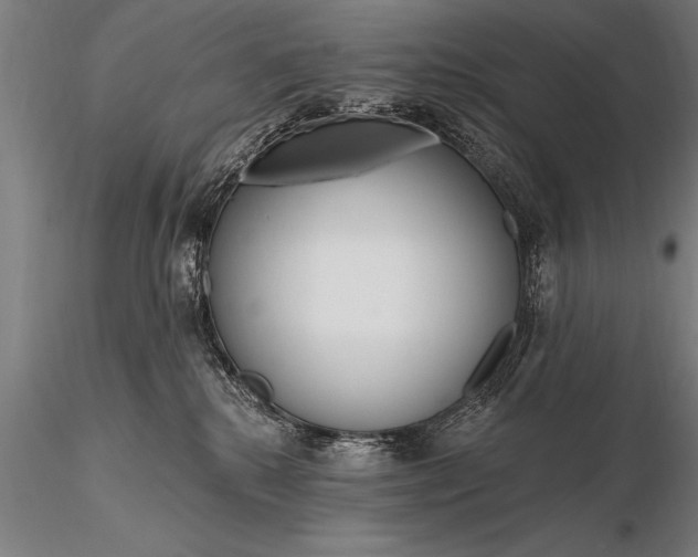 X0000116160280200912141227