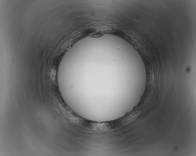 X0000116160281200912141227