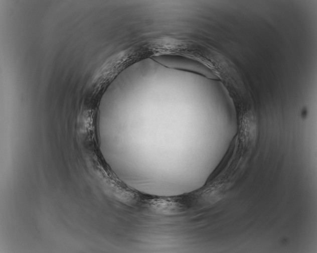 X0000116160284200912141228