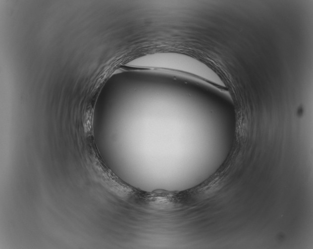 X0000116160285200912141228