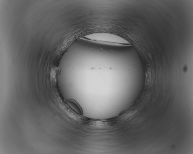 X0000116160286200912141228