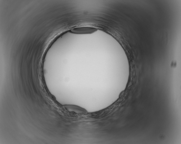X0000116160289200912141227