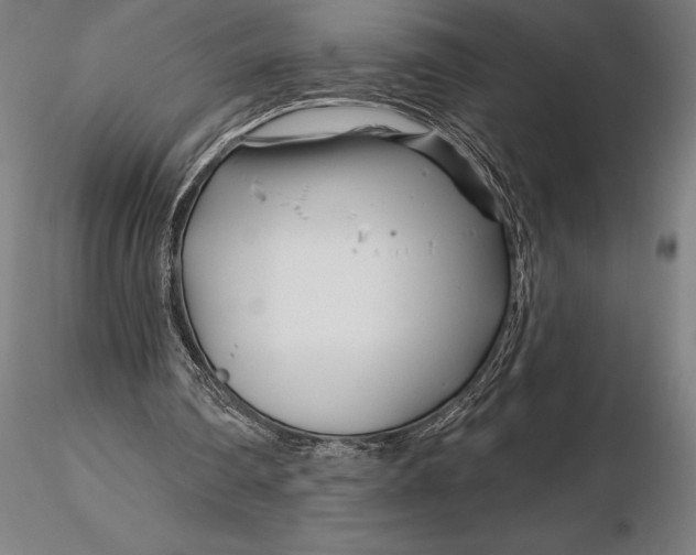 X0000116160290200912141227