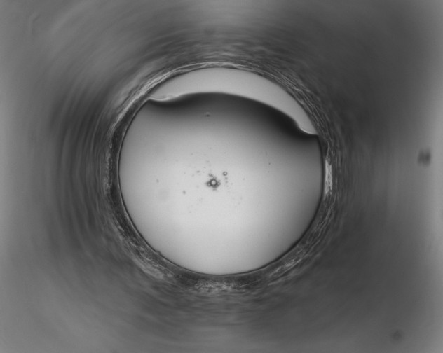 X0000116160291200912141227