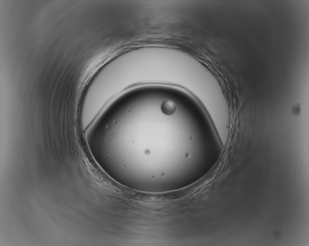 X0000116160293200912141227