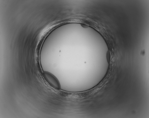 X0000116160294200912141227