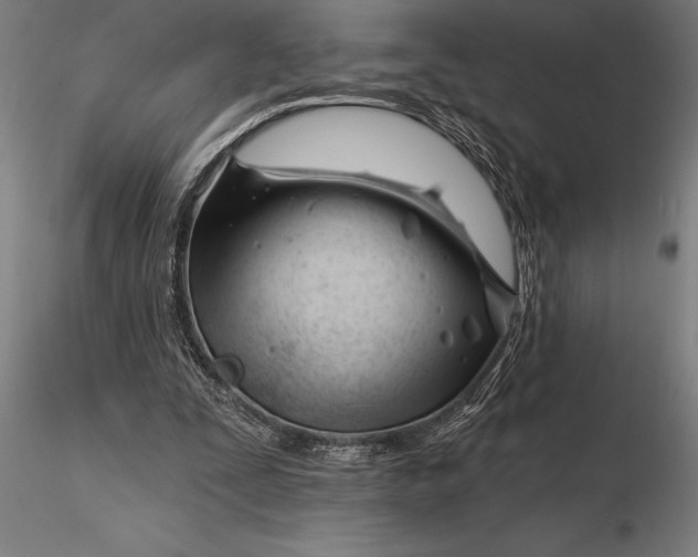 X0000116160295200912141227