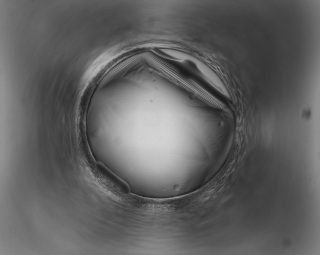 X0000116160296200912141227
