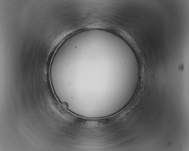 X0000116160298200912141227