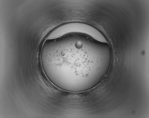 X0000116160299200912141227