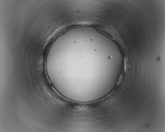 X0000116160300200912141227