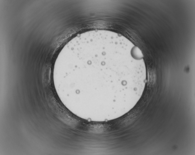 X0000116160301200912141227