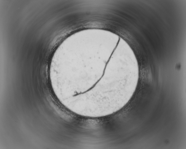 X0000116160302200912141227