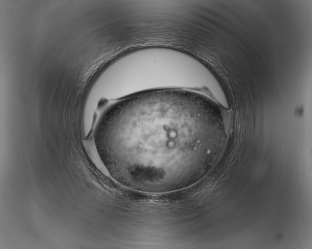 X0000116160303200912141227