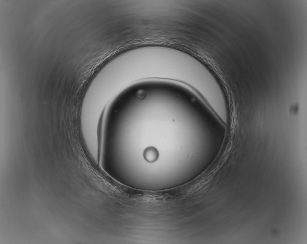 X0000116160305200912141227