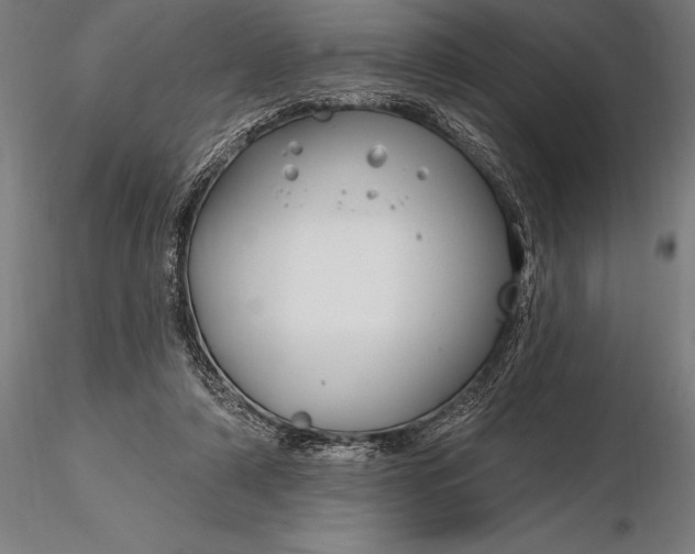 X0000116160306200912141227