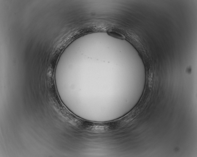 X0000116160314200912141227