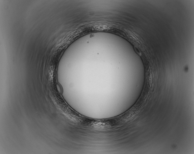 X0000116160315200912141227