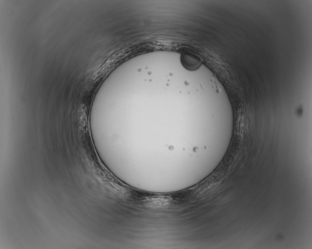 X0000116160318200912141226