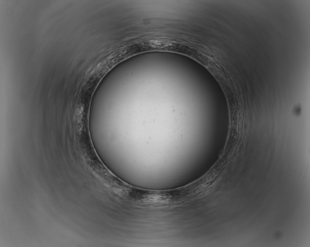X0000116160319200912141226