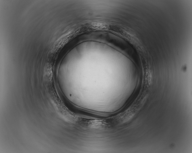 X0000116160320200912141226