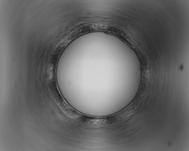 X0000116160323200912141226