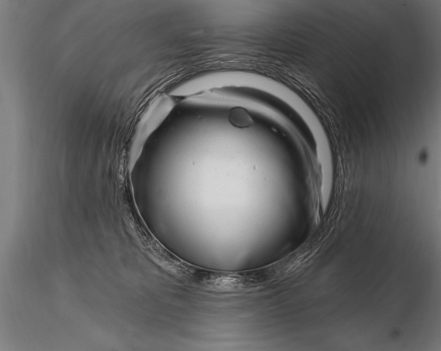 X0000116160325200912141226