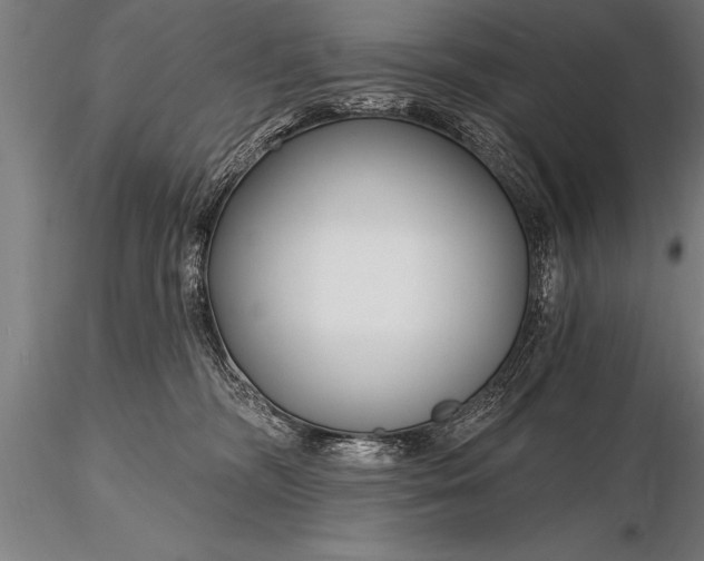 X0000116160326200912141226