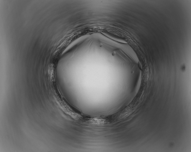 X0000116160328200912141226