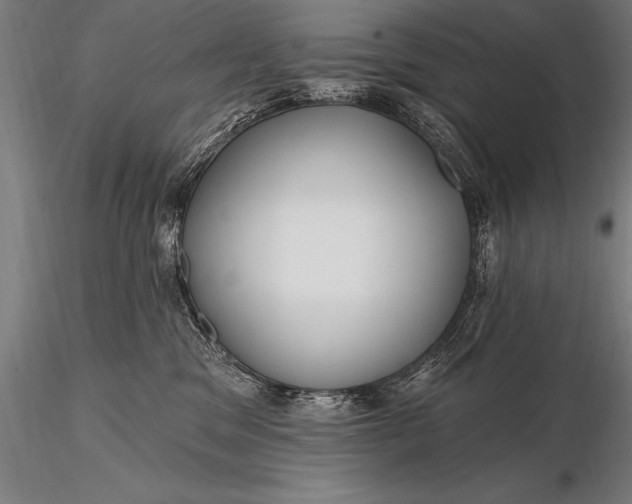 X0000116160329200912141226