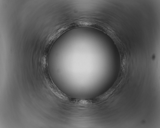 X0000116160330200912141226