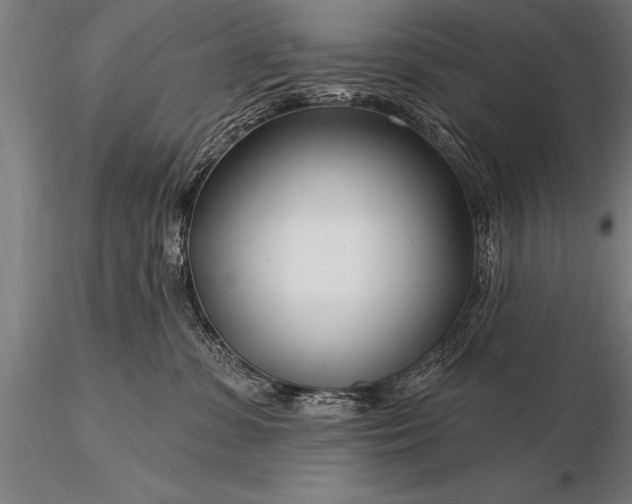 X0000116160331200912141226