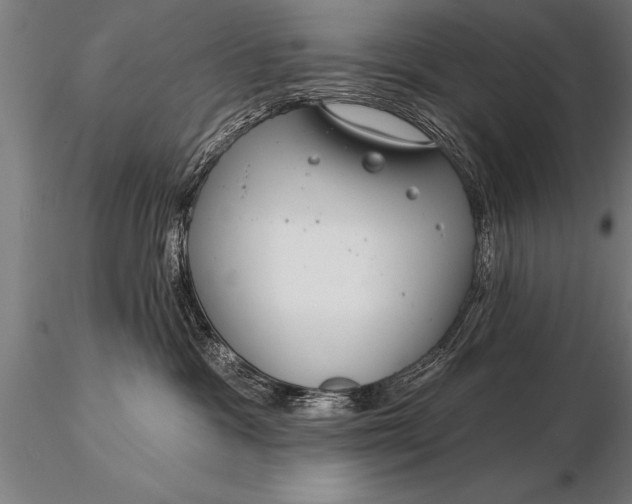 X0000116160333200912141226
