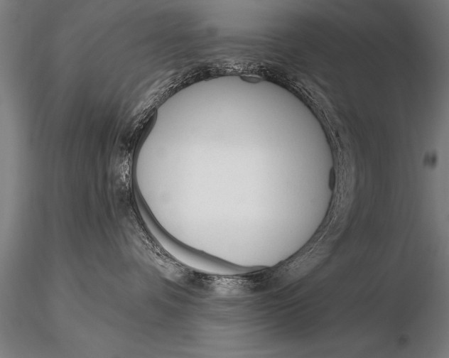 X0000116160336200912141226