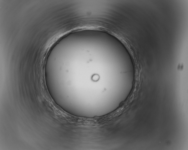 X0000116160337200912141225
