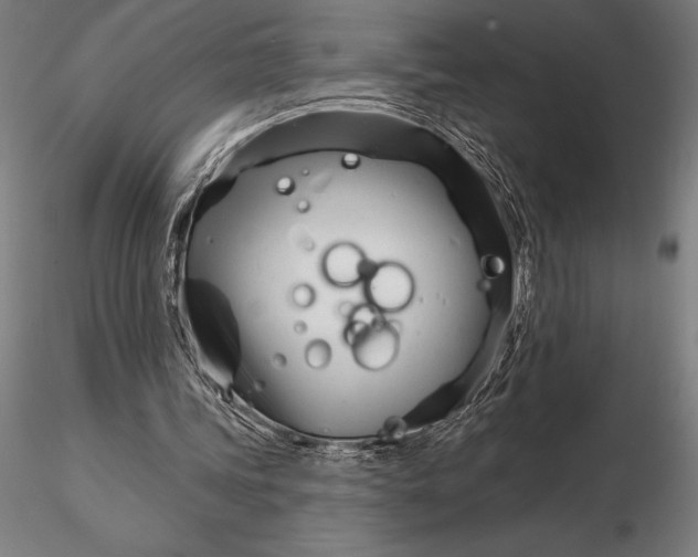 X0000116160339200912141225