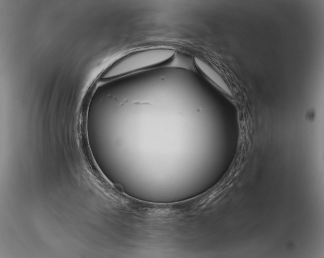 X0000116160342200912141225