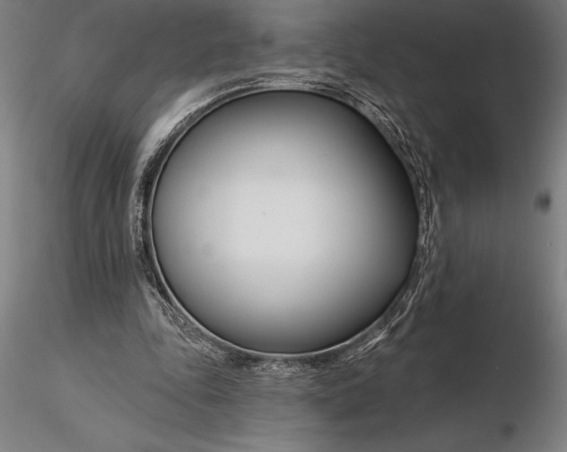 X0000116160343200912141225