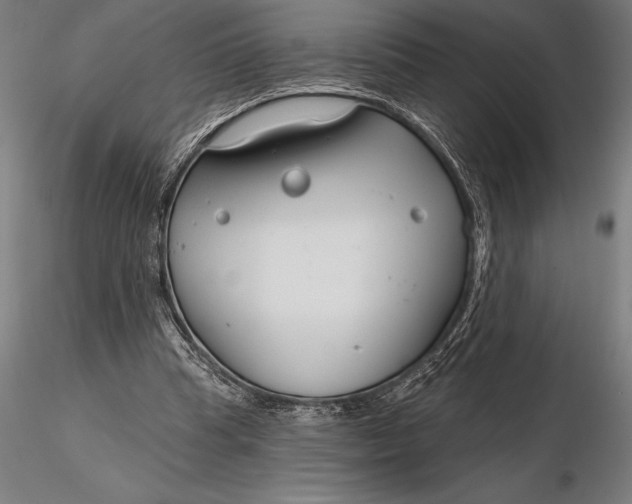 X0000116160345200912141226