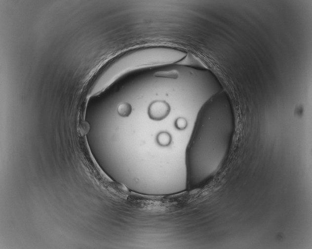 X0000116160347200912141226