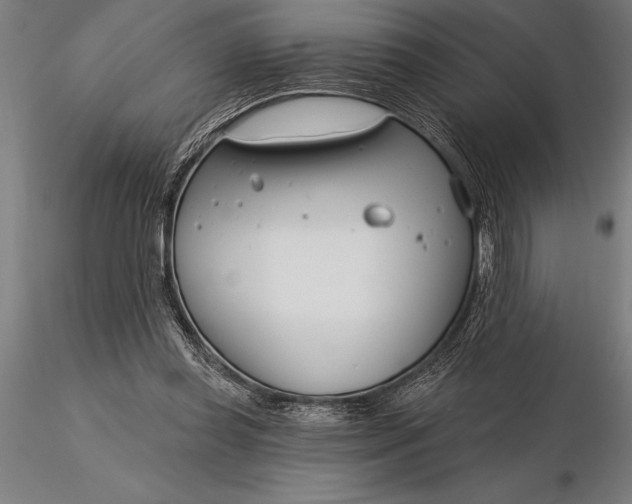 X0000116160349200912141226