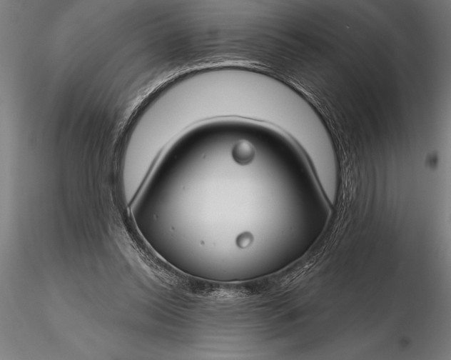 X0000116160350200912141226