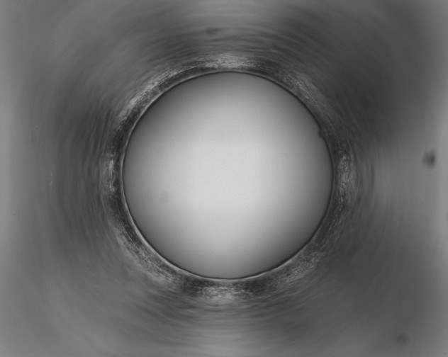 X0000116160351200912141226